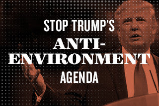 Do not Gut the EPA!